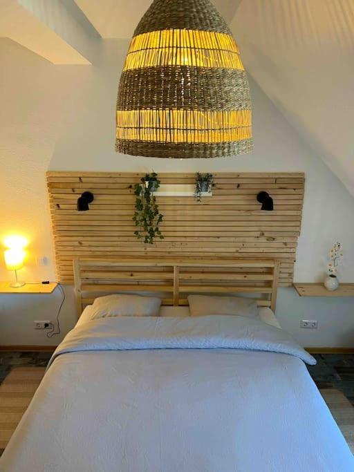 Boho Apartment In Der Stadtmitte Lahr/Schwarzwald Kültér fotó