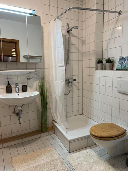 Boho Apartment In Der Stadtmitte Lahr/Schwarzwald Kültér fotó
