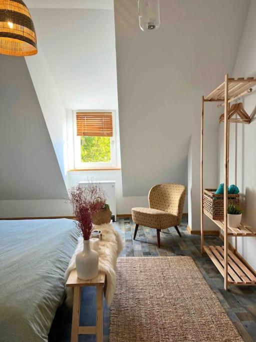 Boho Apartment In Der Stadtmitte Lahr/Schwarzwald Kültér fotó