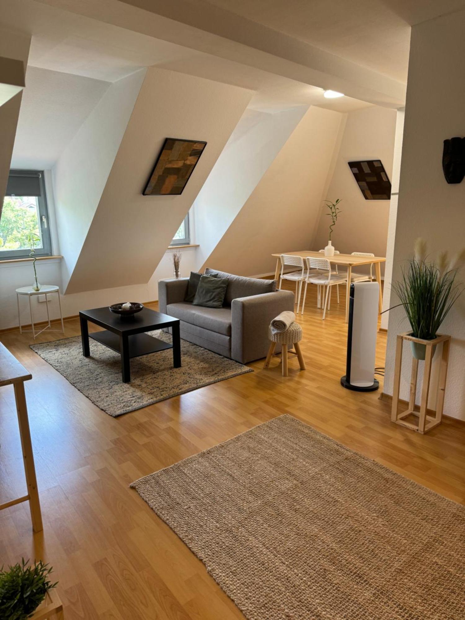 Boho Apartment In Der Stadtmitte Lahr/Schwarzwald Kültér fotó